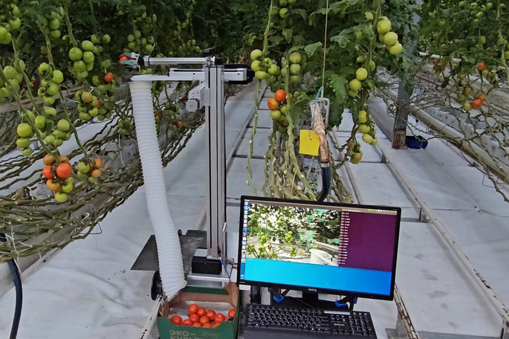 robot-dlya-sborki-urozhaya-v-teplicah-podrobnosti-o-predstavlennoj-prezidentu-rossii-razrabotke-rasskazali-v-skfu-ncfu-ru-01 (3).jpg robot-dlya-sborki-urozhaya-v-teplicah-podrobnosti-o-predstavlennoj-prezidentu-rossii-razrabotke-rasskazali-v-skfu-ncfu-ru-01 (3).jpg
