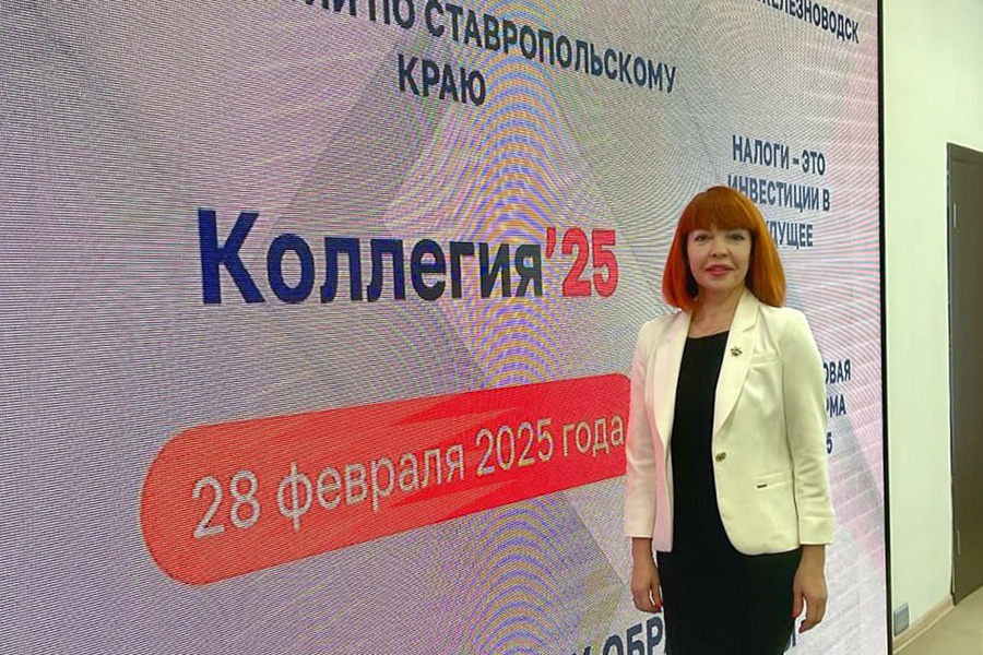 Эксперт СКФУ оценил цифровую трансформацию налоговой службы