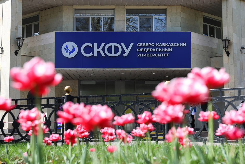 Специалисты СКФУ представили IT-решения для лингвистики на всероссийском мастер-классе